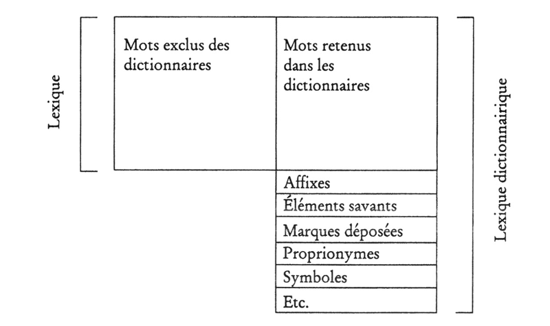 Tableau qui présente visuellement les différences entre la conception du lexique en lexicologie et en lexicographie.